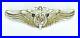 Authentic-WWII-U-S-Army-Air-Force-Flight-Nurse-Corps-Wings-Enamel-PB-Sterling-01-fqp