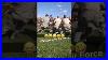 Marines-Vs-Air-Force-01-sji