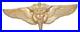 Original-WWII-US-Army-Air-Force-STERLING-Flight-Surgeon-2-Wing-Pin-CA2-01-kom