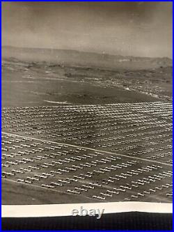Rare original Photos WW2 B-17 Army Air Force boneyard at Kingman Az. Fdb1