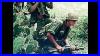 Vietnam-War-Battlefield-In-Hd-Colour-Us-Army-Navy-Air-Force-In-Action-01-kcn