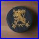 WW2-Bullion-Air-Force-Shoulder-Patch-Lion-US-Army-3-inch-01-tsgm