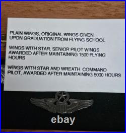 WW2 US Army Air Force Pilot Wing Senior Pilot Wings Command Pilot Wings