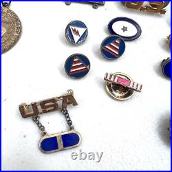 WWII USAAF U. S. Army Air Force Pilot Flight Wings Ribbon Bars Various Pins LOT